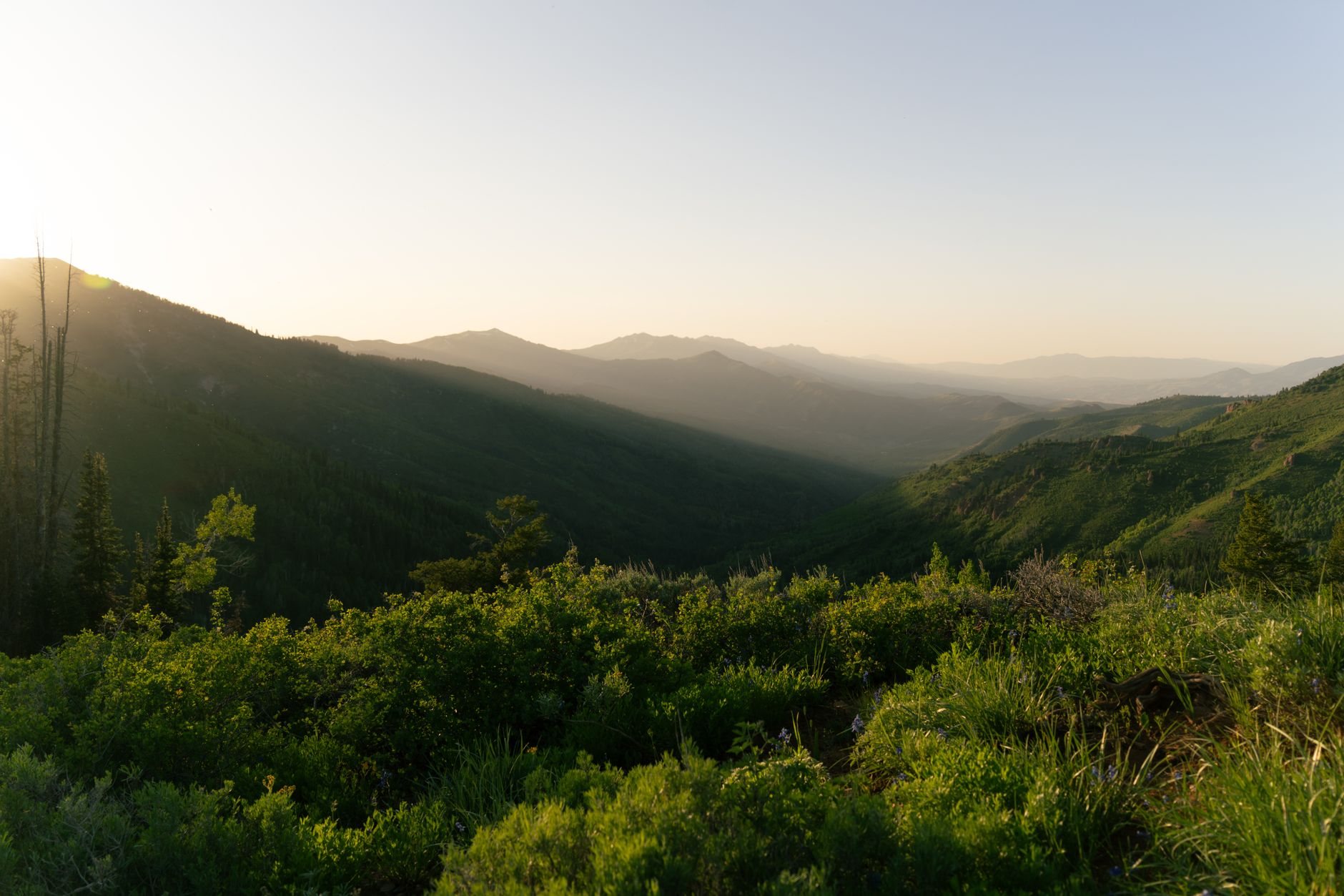 Wasatch Front view: breathtaking view of the wasatch mountains at sunrise with lush green foliage and gentle sunlight